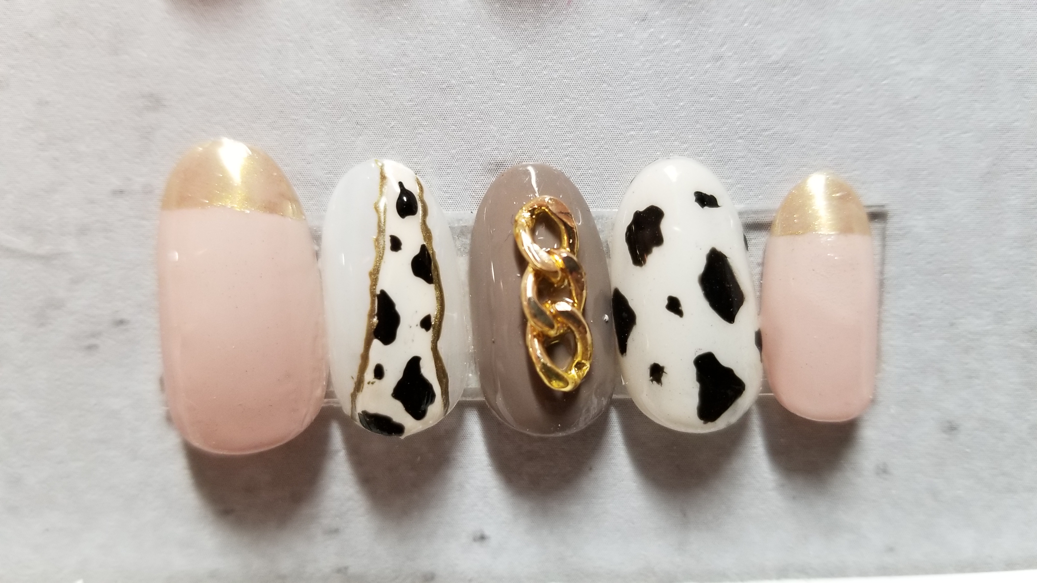 http://www.septnail.com/campaign/blogphoto/20190124_103000.jpg
